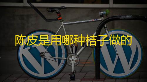 高能英雄辅助软件陈皮是用哪种桔子做的